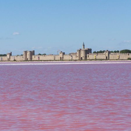 Aigues-Mortes Villa Pres Des Remparts Dış mekan fotoğraf