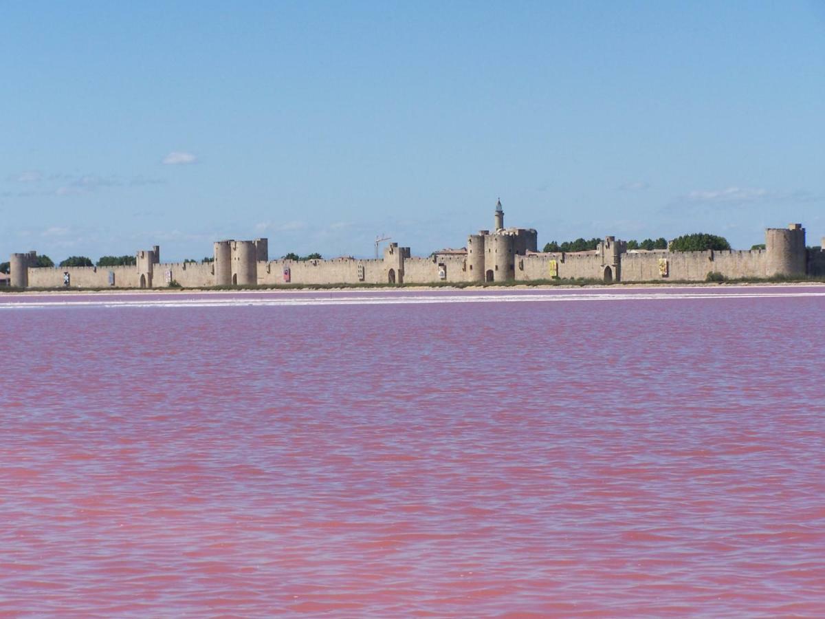 Aigues-Mortes Villa Pres Des Remparts Dış mekan fotoğraf